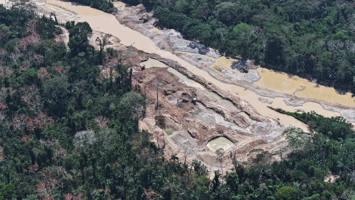 Crimen organizado impulsa minería ilegal y narcotráfico que aceleran colapso ambiental amazónico en 2025