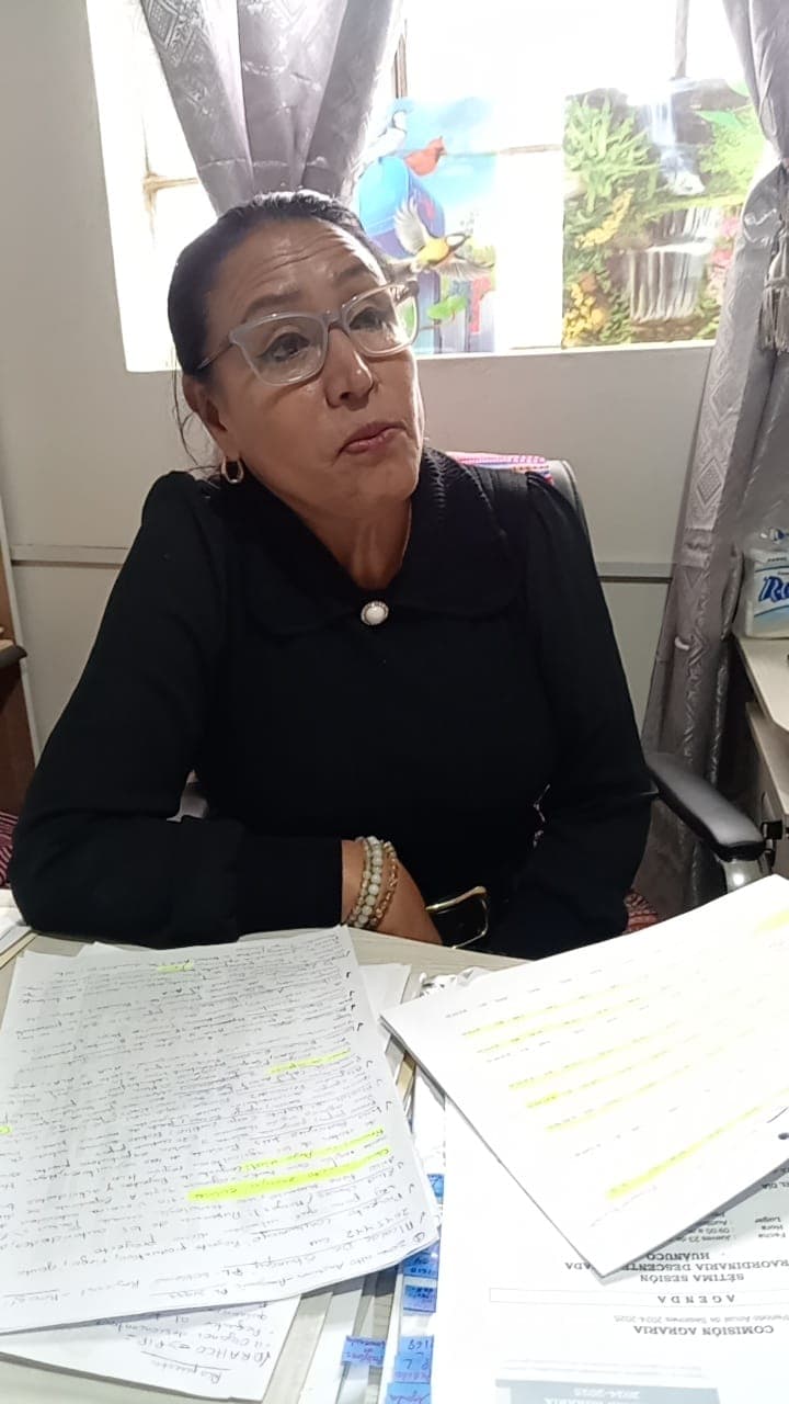 A pesar de la alta desaprobación, congresista Elizabeth Medina confirma que postulará al Senado con Somos Perú