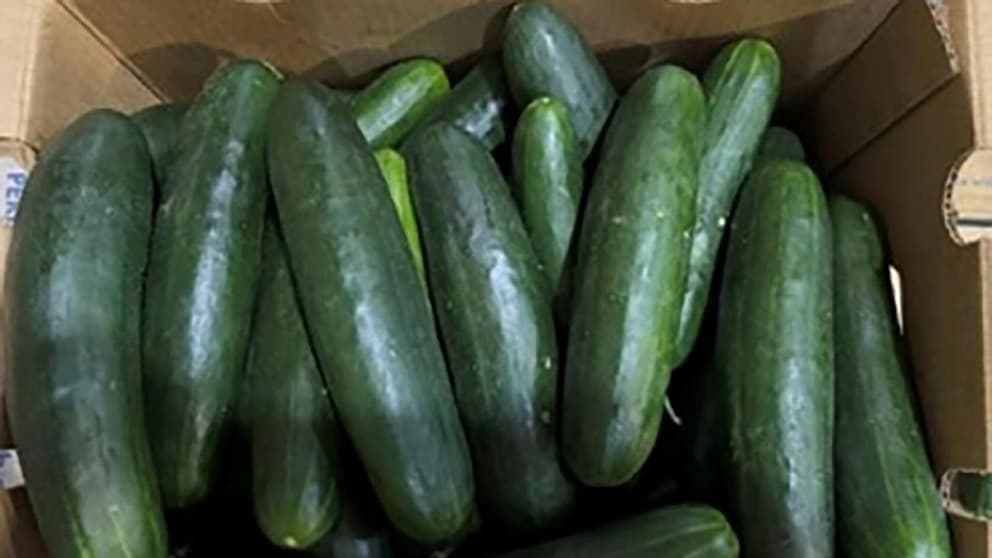 Brotes de salmonela relacionados con pepinos enferman a 45 personas.