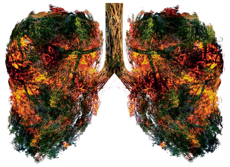 Informe IPCC: La amenaza del cambio climático sobre el bienestar humano y la salud del planeta es inequívoca