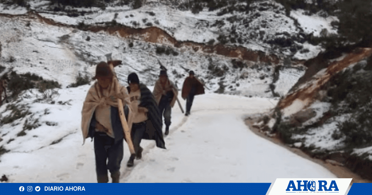 Lluvias afectan gravemente a agricultores y vías en Shunqui, Sillapata y Pachas