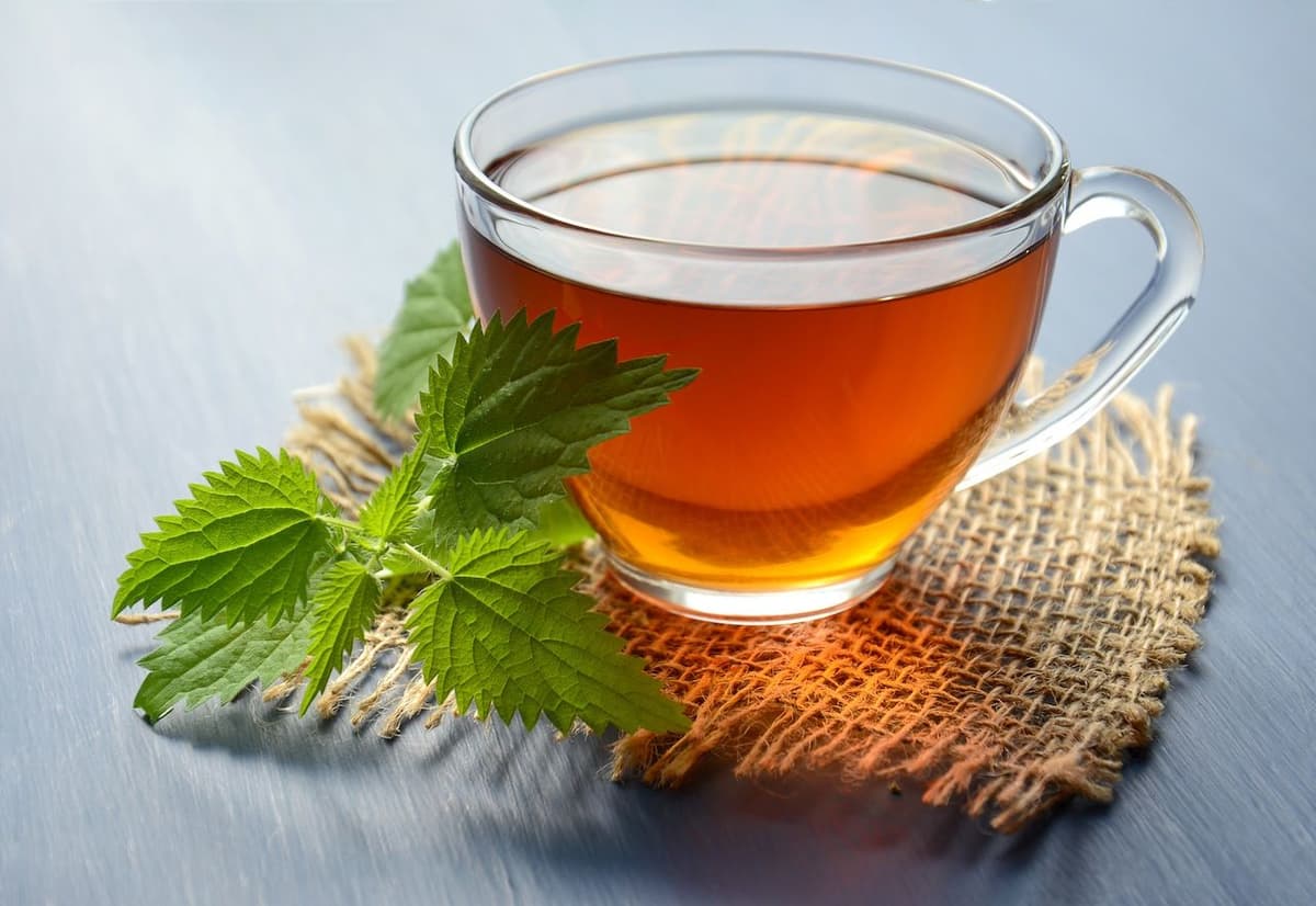 Infusiones recomendadas para ayudar al bienestar de los pulmones