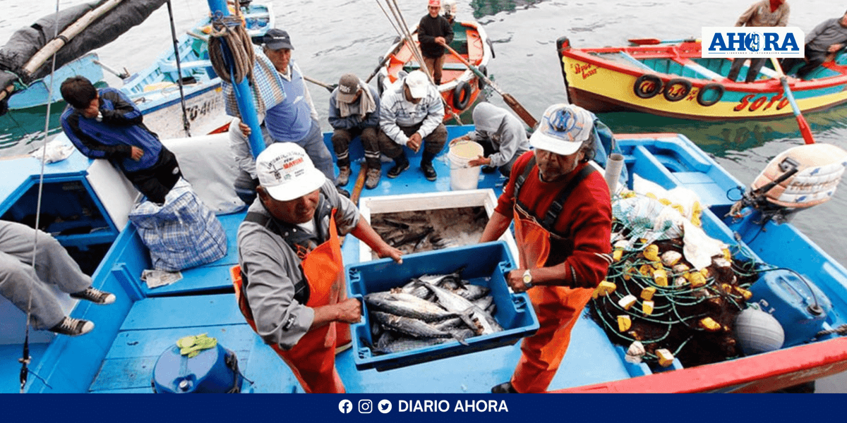 Gremios pesqueros exigen medidas ante escasez de pota por pesca ilegal