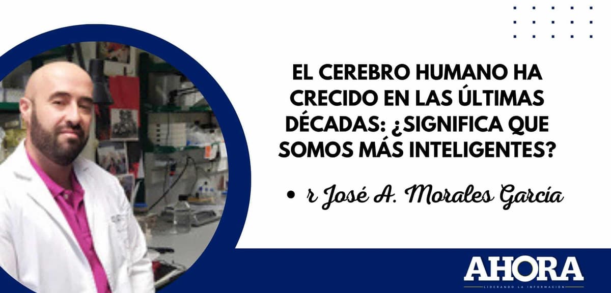 El cerebro humano ha crecido en las últimas décadas: ¿significa que somos más inteligentes?