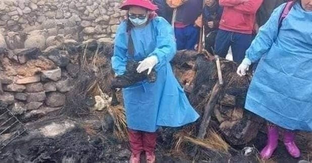 Tragedia en Omacha: Rayo fulmina a esposos y rebaño