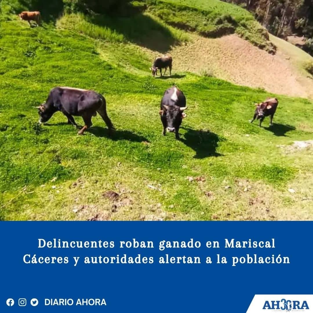 Delincuentes roban ganado en Mariscal Cáceres y autoridades alertan a la población