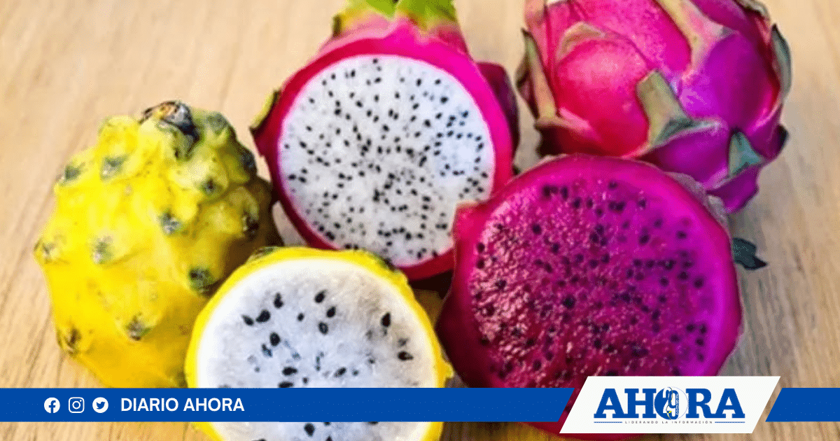 Exportaciones peruanas de pitahaya quintuplican su valor entre enero y agosto de 2024
