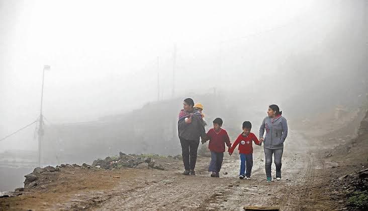 Friajes y heladas causan daño en Pasco y otras regiones