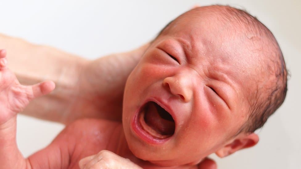 Asesores de Trump buscan propuestas para aumentar la natalidad desde incentivos económicos para bebés hasta planificación de la fertilidad