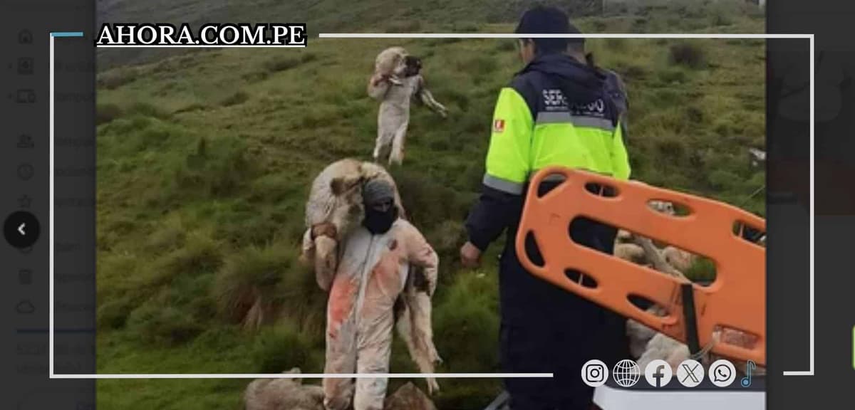 Impacto mortal de rayos en Yanacancha deja pérdidas en ganadería local