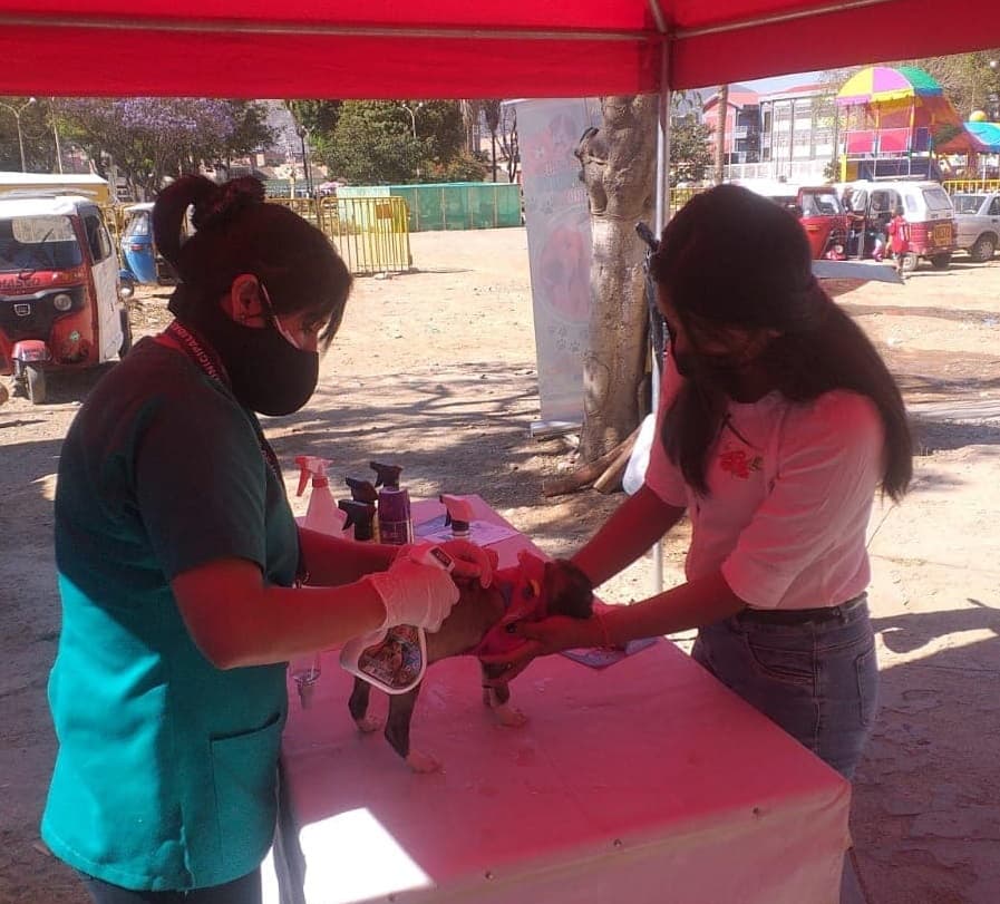 Mascotas fueron atendidas en el consultorio veterinario en Huánuco