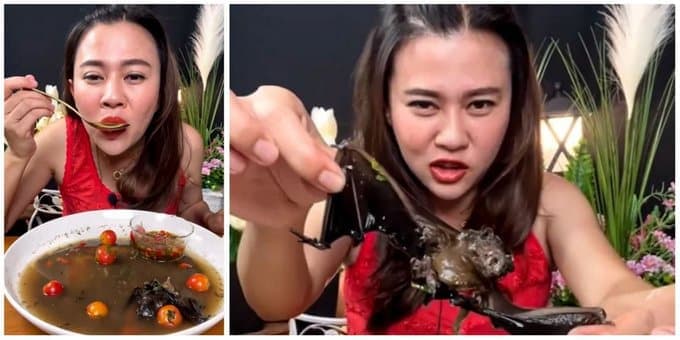 Tailandia: Youtuber podría ir a la cárcel por comer sopa de murciélago