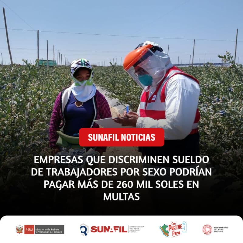 Formalización versus multa en la inspección del trabajo