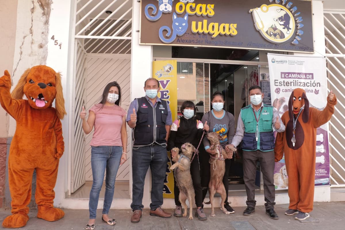 Segunda campaña de esterilización benefició a 250 mascotas