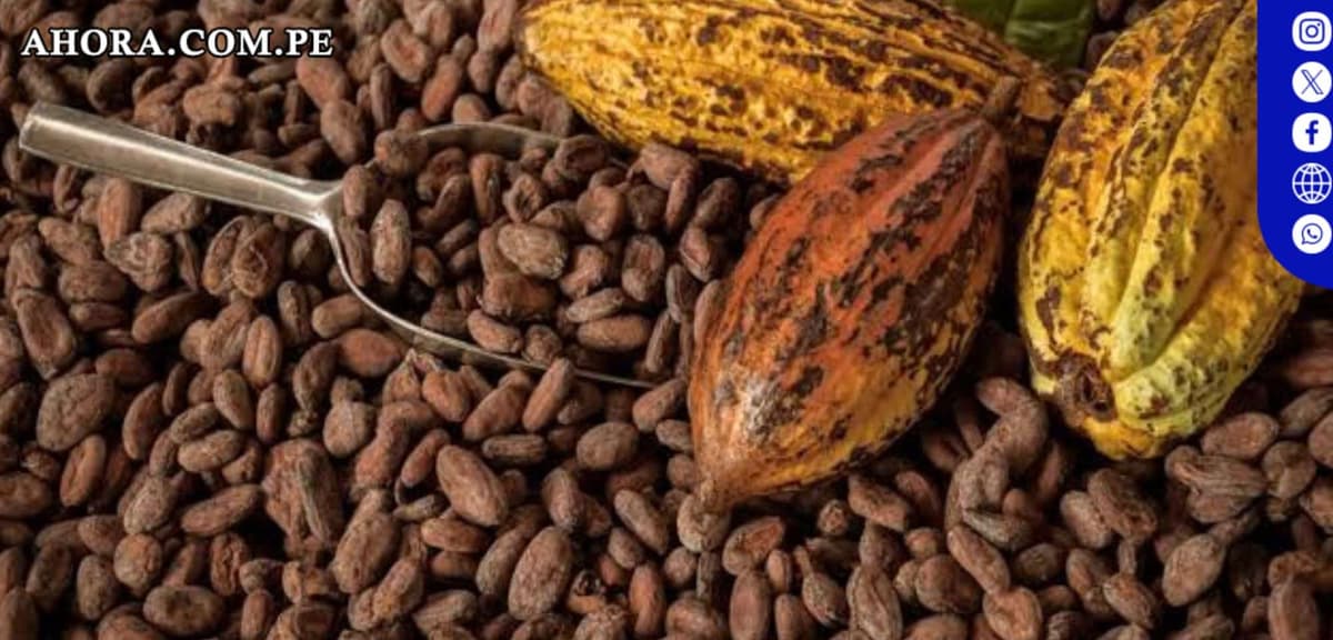 El cacao se desploma un 30% en dos días: ¿El fin del oro dulce?