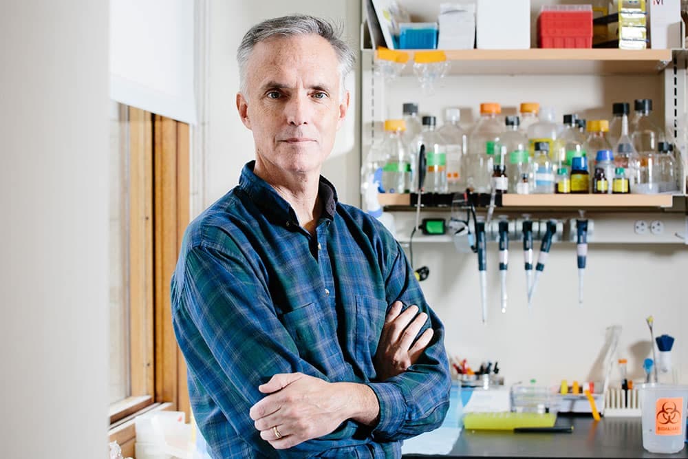 Tres interrogantes clave: Impulsando la innovación farmacológica con Inteligencia Artificial
