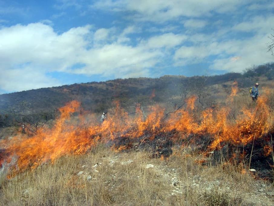 Incendio arrasa pastizal en Chacayán