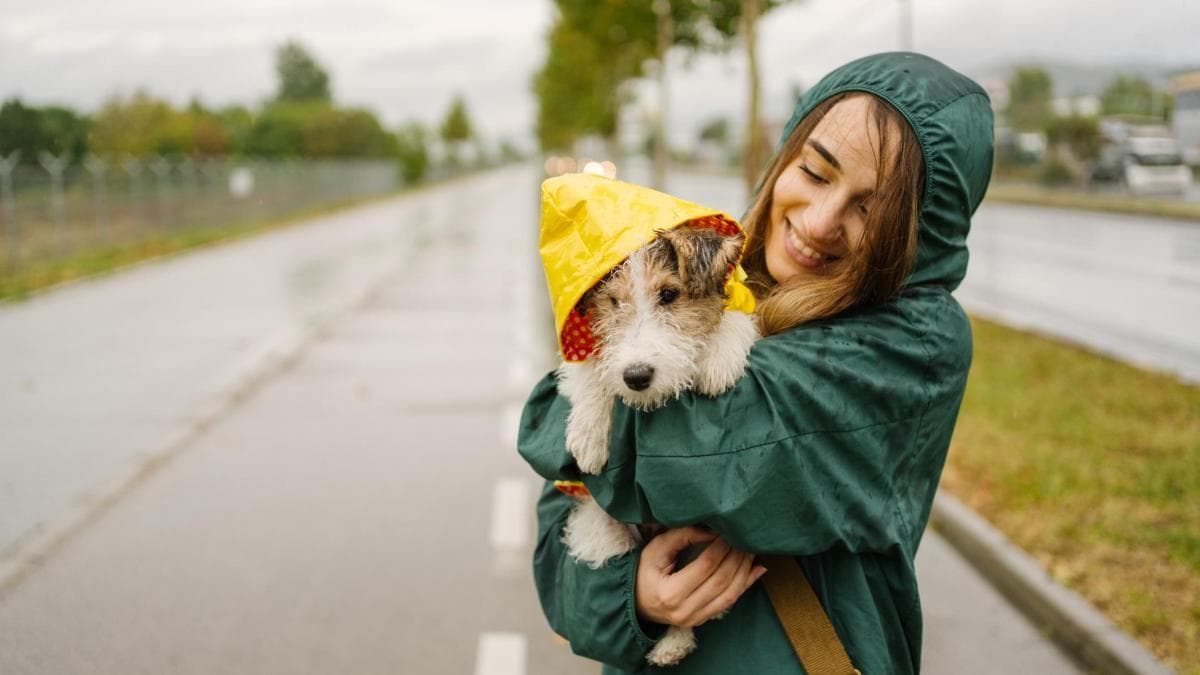 Víctor Algra advierte: abrigos de perros son función, no moda invernal