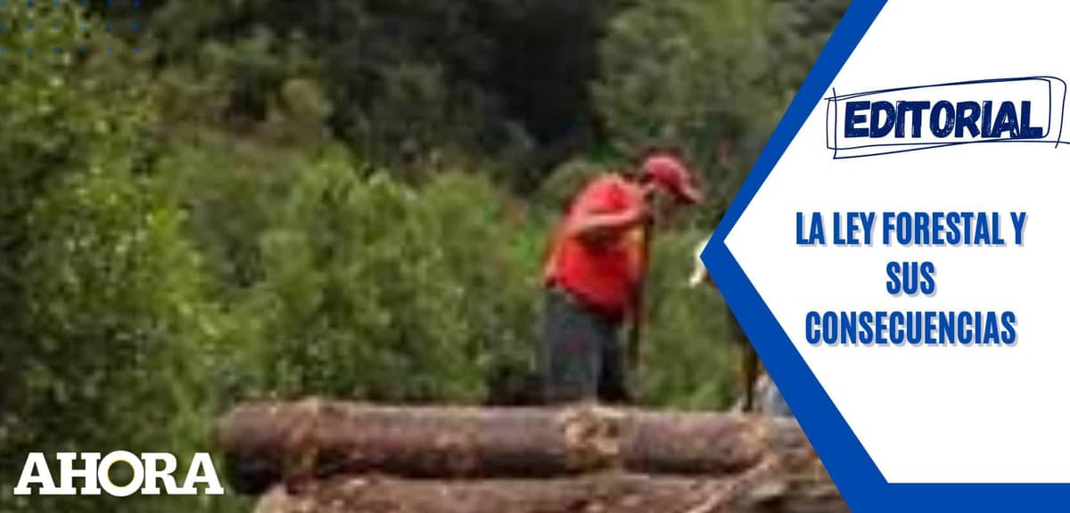 La ley forestal y sus consecuencias