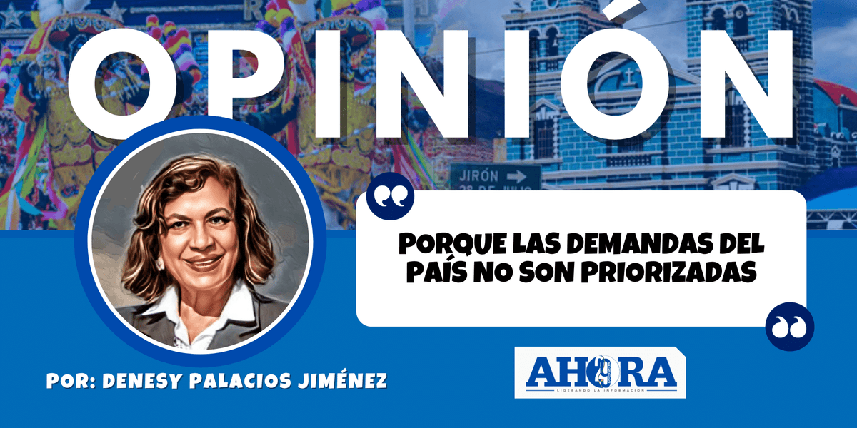 PORQUE LAS DEMANDAS DEL PAÍS NO SON PRIORIZADAS