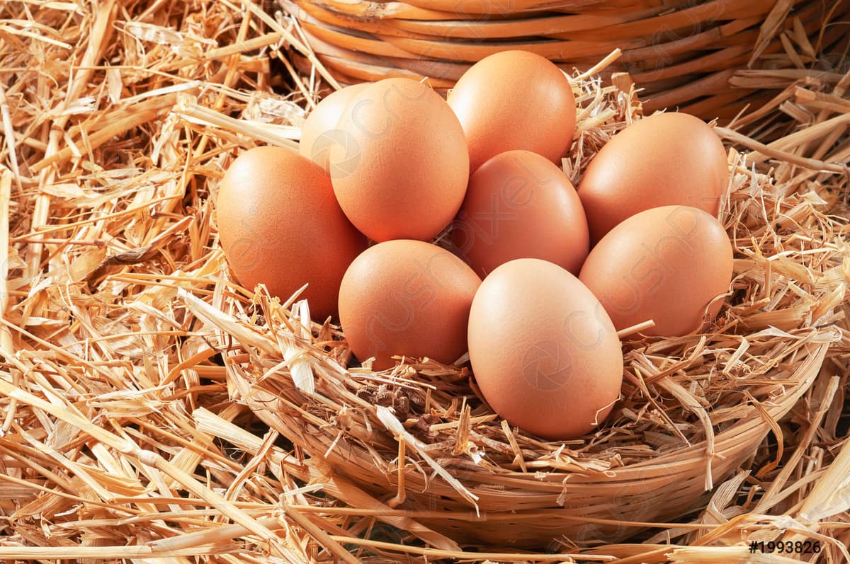 Beneficios para adelgazar con la dieta del huevo