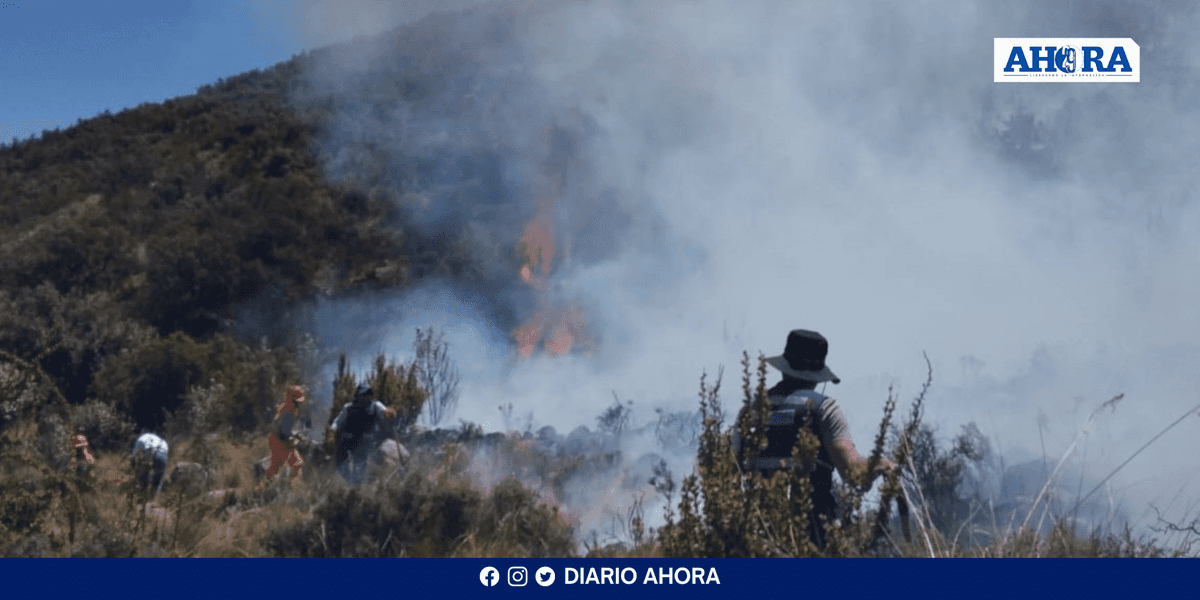 Huánuco en Alerta: Crisis forestal y agrícola golpea la región