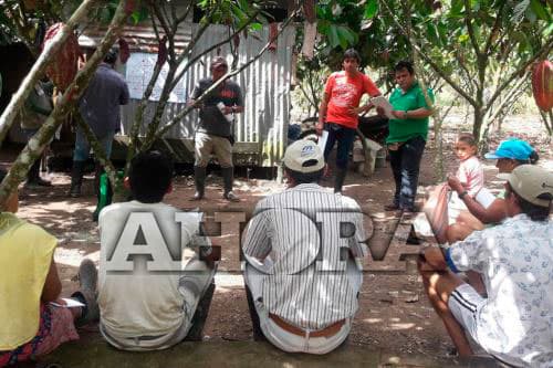 Devida capacita a productores de cacao