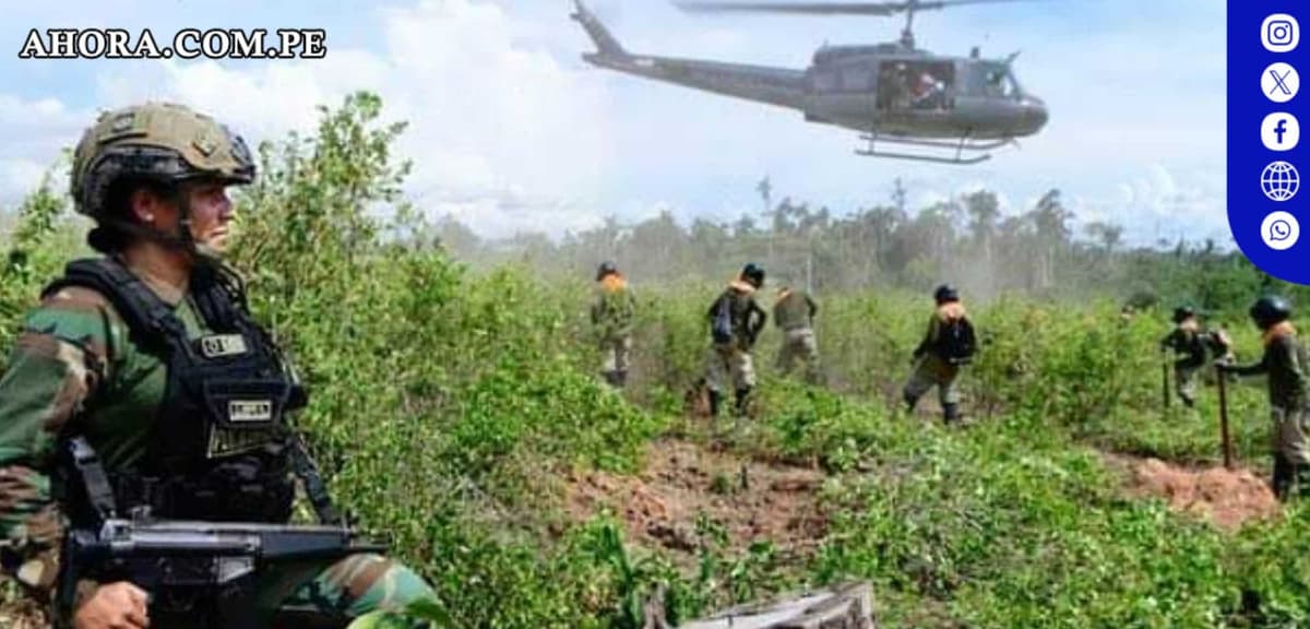 Acción antidroga en Alto Huallaga evita producción de 23 toneladas de cocaína