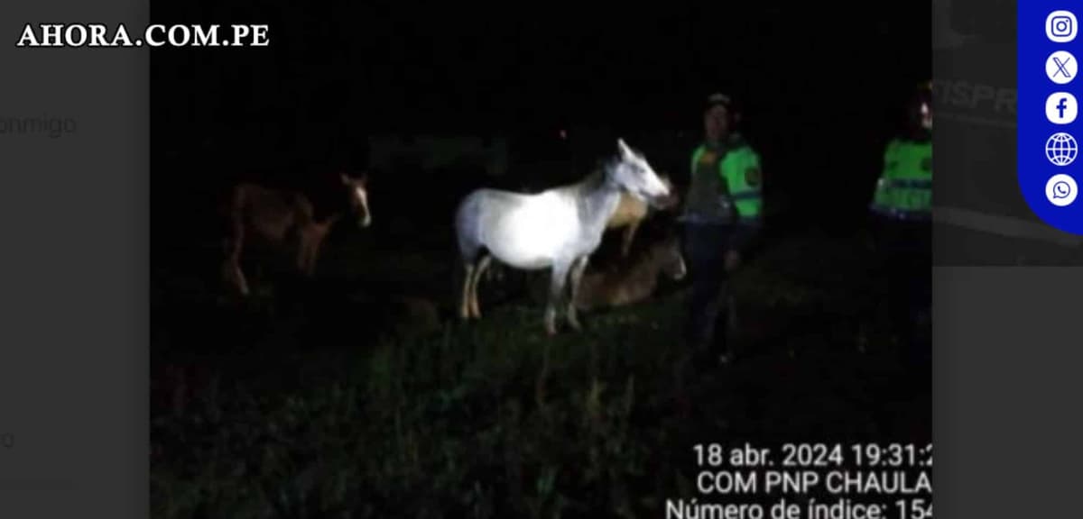 Diez caballos robados son recuperados en el Distrito de San Pedro de Chaulán