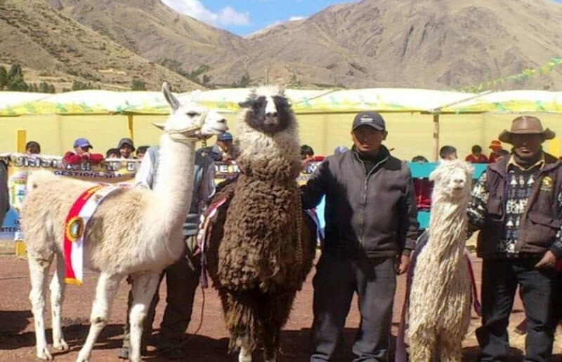 Todo listo para la Feria Nacional Agropecuaria “Meseta del Bombón”