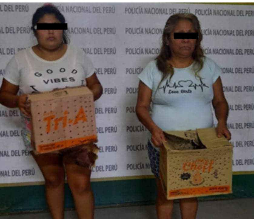 Madre e hija detenidas por transportar animales silvestres