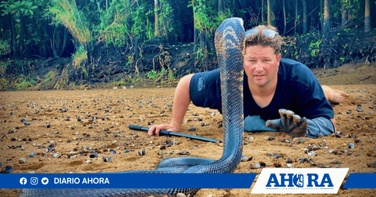 Fallece el conservacionista Dingo Dinkelman tras mordedura de serpiente venenosa