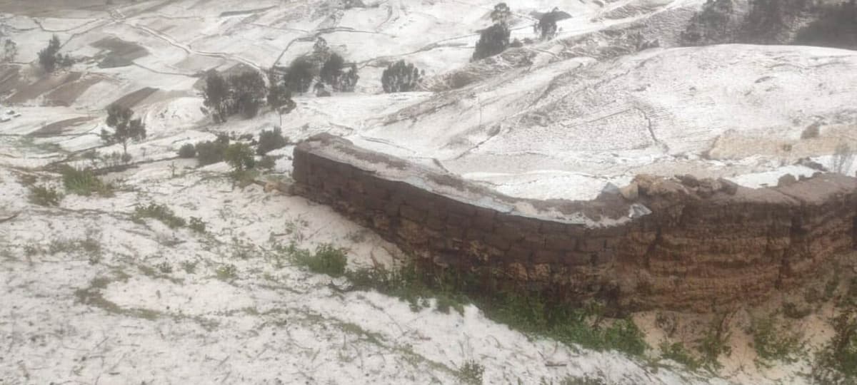 Granizada afectó siembras de papa y habas en Ripán