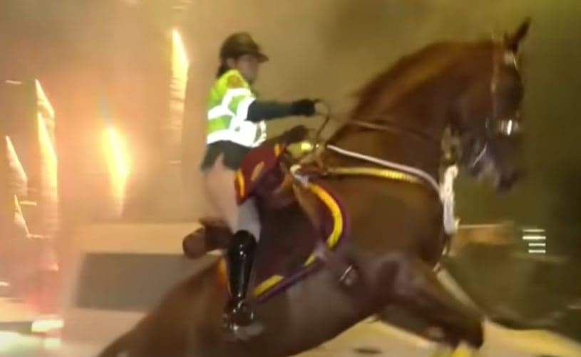 Policía a caballo: ¿Conviene su uso en manifestaciones y grandes eventos