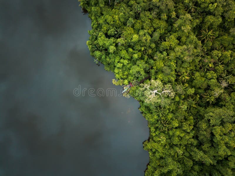 Sobrevolando Tambopata los drones vigilan la Amazonía