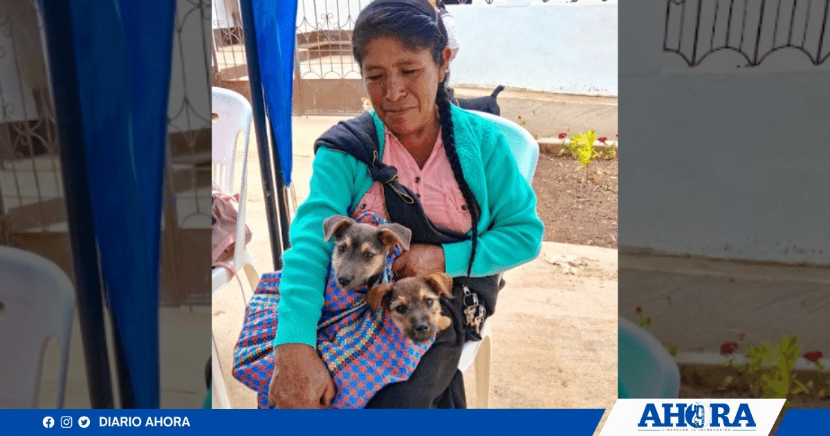 Mascotas recibieron tratamiento gratuito para pulgas y garrapatas