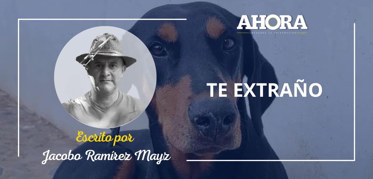 TE EXTRAÑO