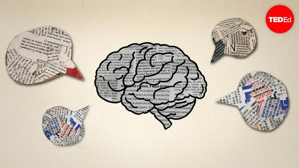 Qué le ocurre a tu cerebro si no usas el móvil durante un día