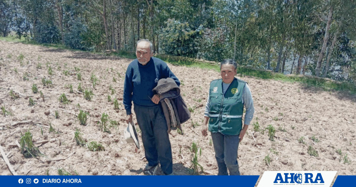 Activarán Seguro Agrícola Catastrófico para productores afectados por lluvias 