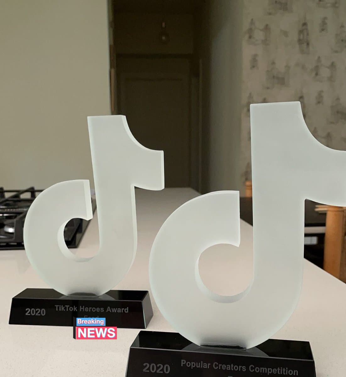 'TikTok' acaba de revelar la primer edición de los TikTok Awards