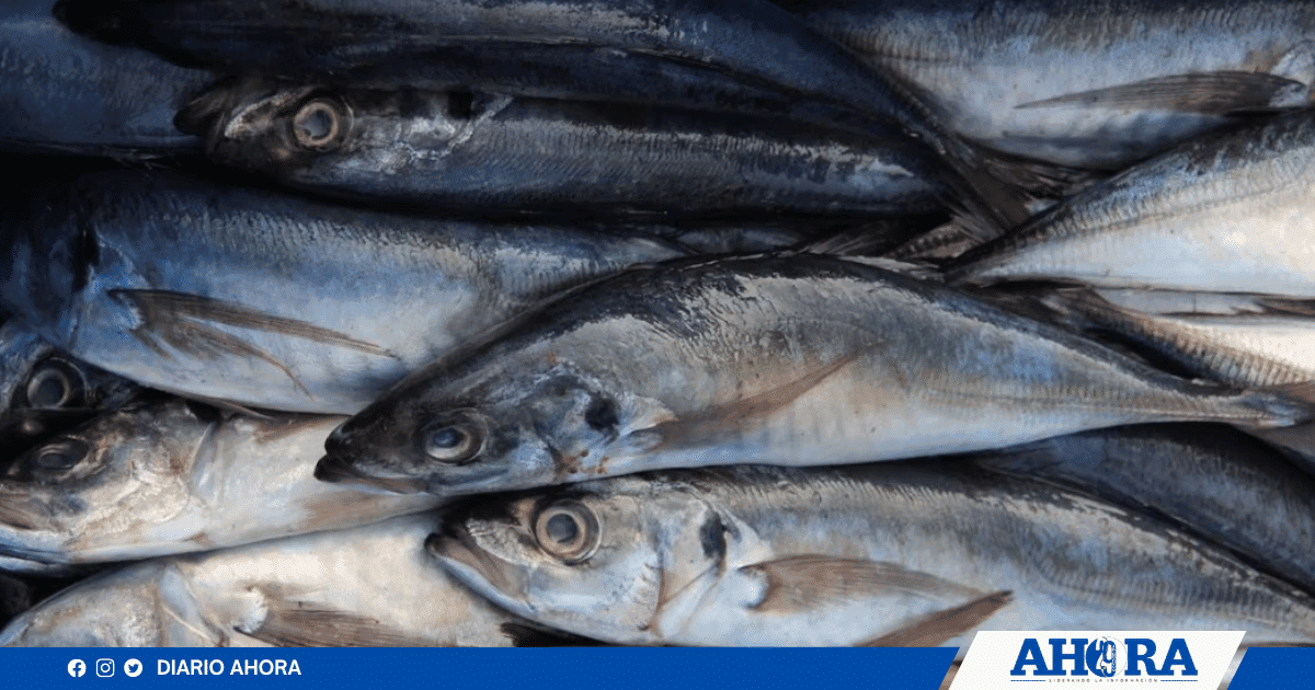 Pesca y gas natural frenan el avance económico del Perú