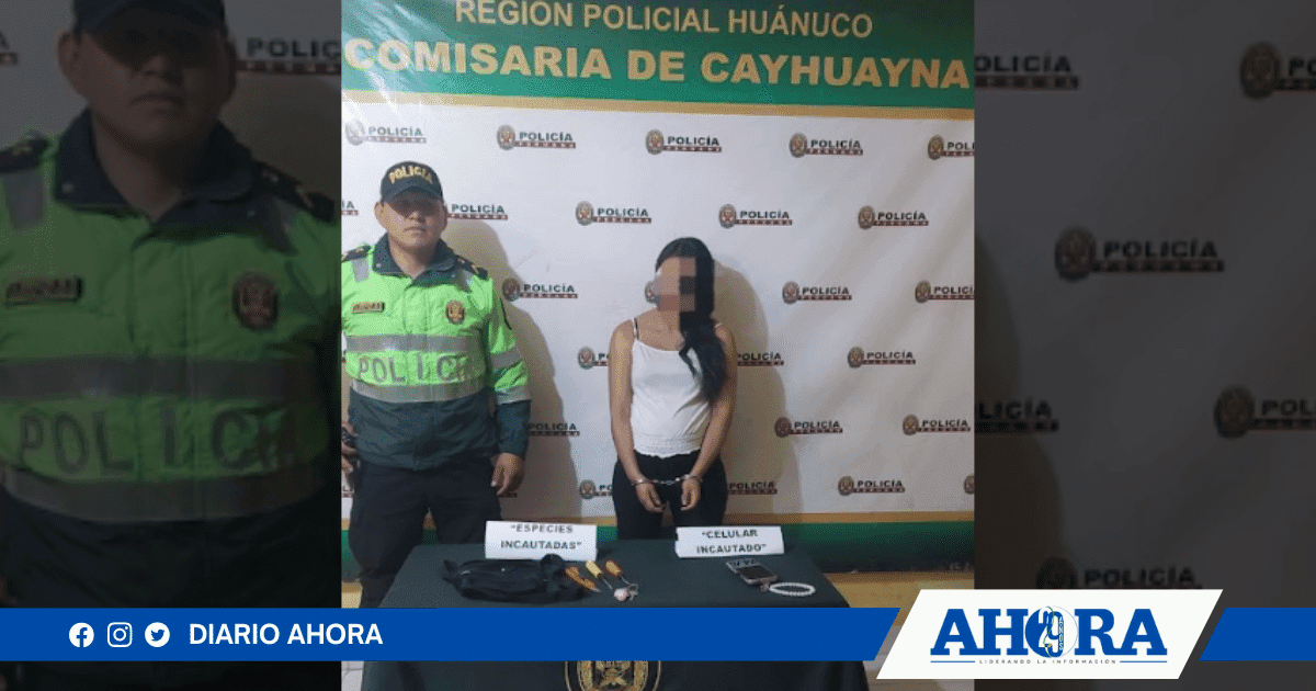 Capturan a una sospechosa por hurto agravado