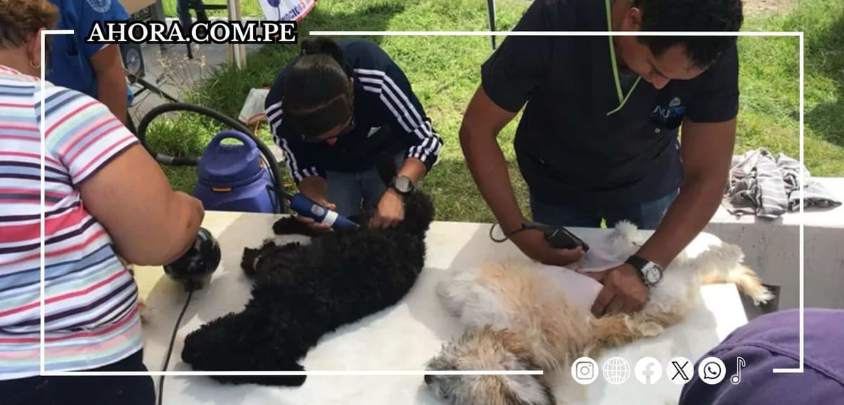 MPHco. refuerza mantenimiento de áreas verdes y esterilización de mascotas