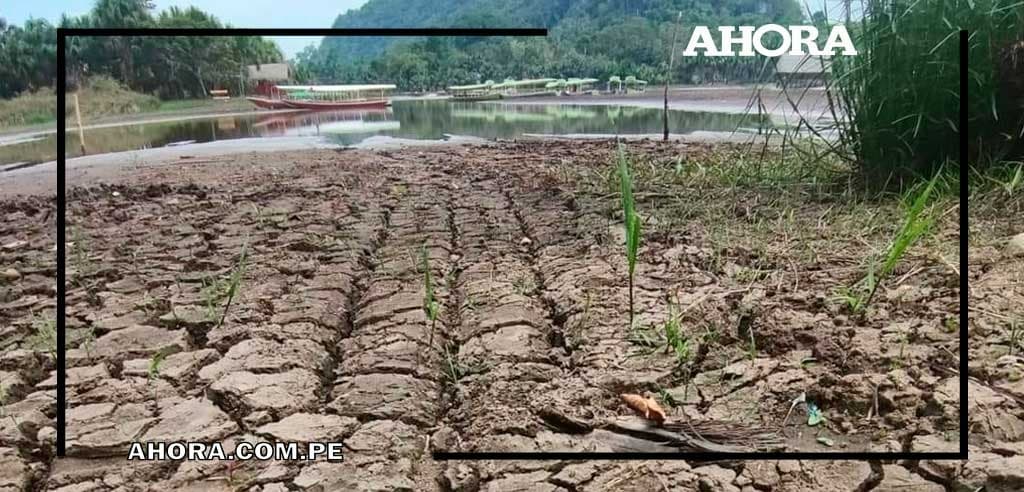 Al borde de la extinción: La Laguna de los Milagros se seca a un ritmo alarmante