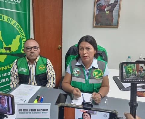 Ataque armado contra ingeniero forestal en Puerto Inca