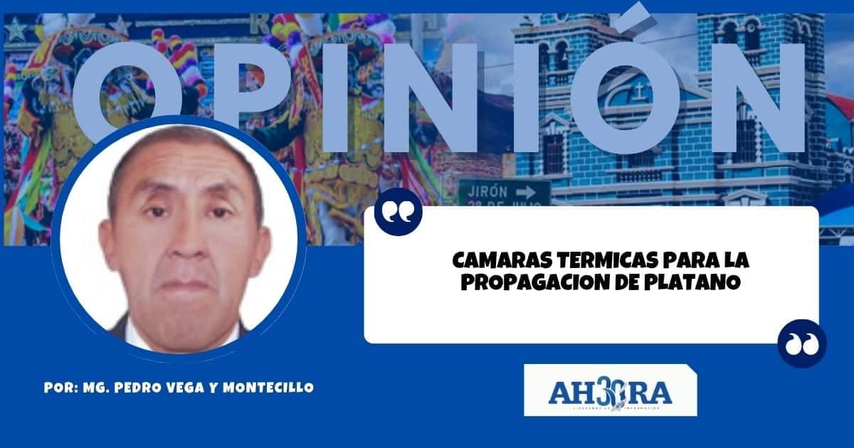 CAMARAS TERMICAS PARA LA PROPAGACION DE PLATANO
