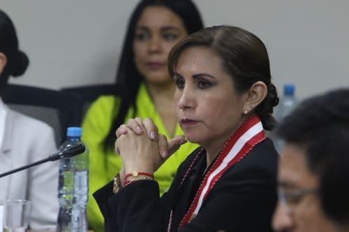 Retroceso democrático: Constitucionalistas denuncian que leyes favorecen la impunidad