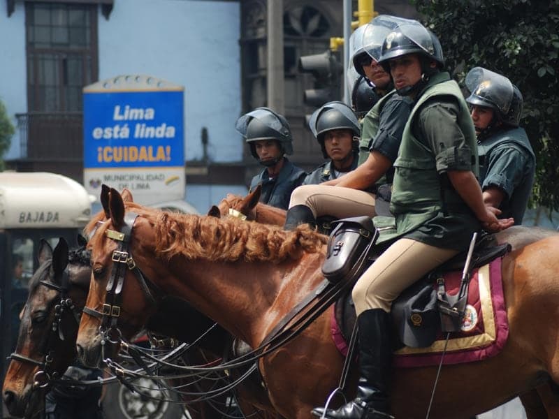 Policía montada: Su utilidad operativa confrontada con el debate público