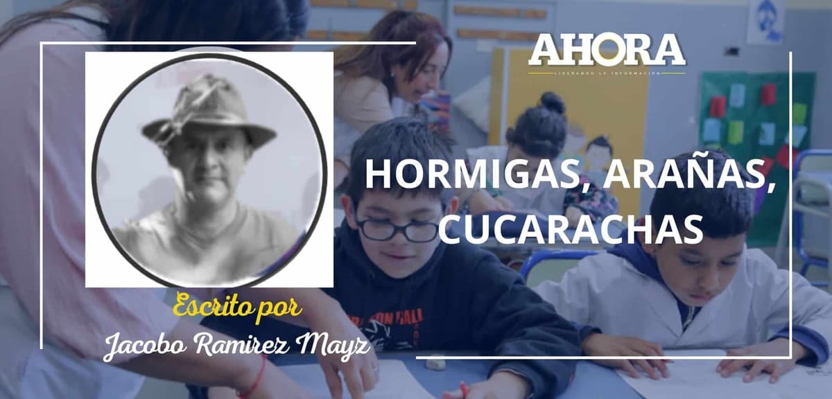 HORMIGAS, ARAÑAS, CUCARACHAS