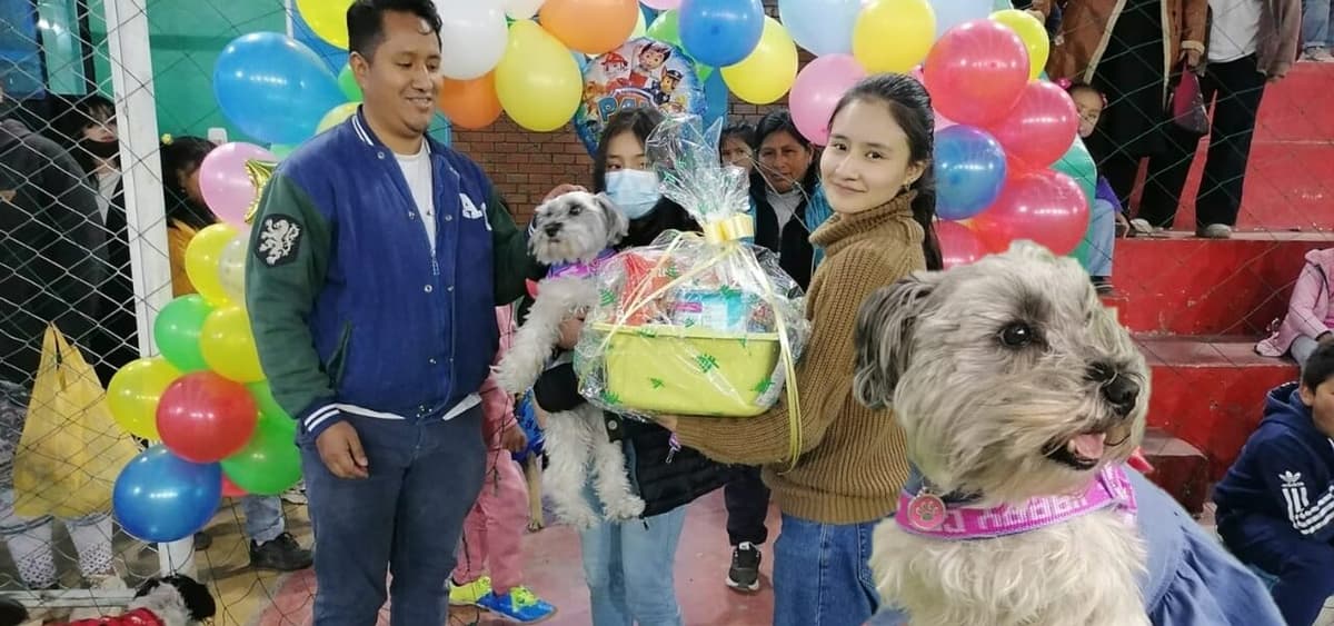 Una perrita schnauzer ganó el primer puesto en concurso de mascotas